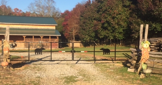Double Gates with Bears